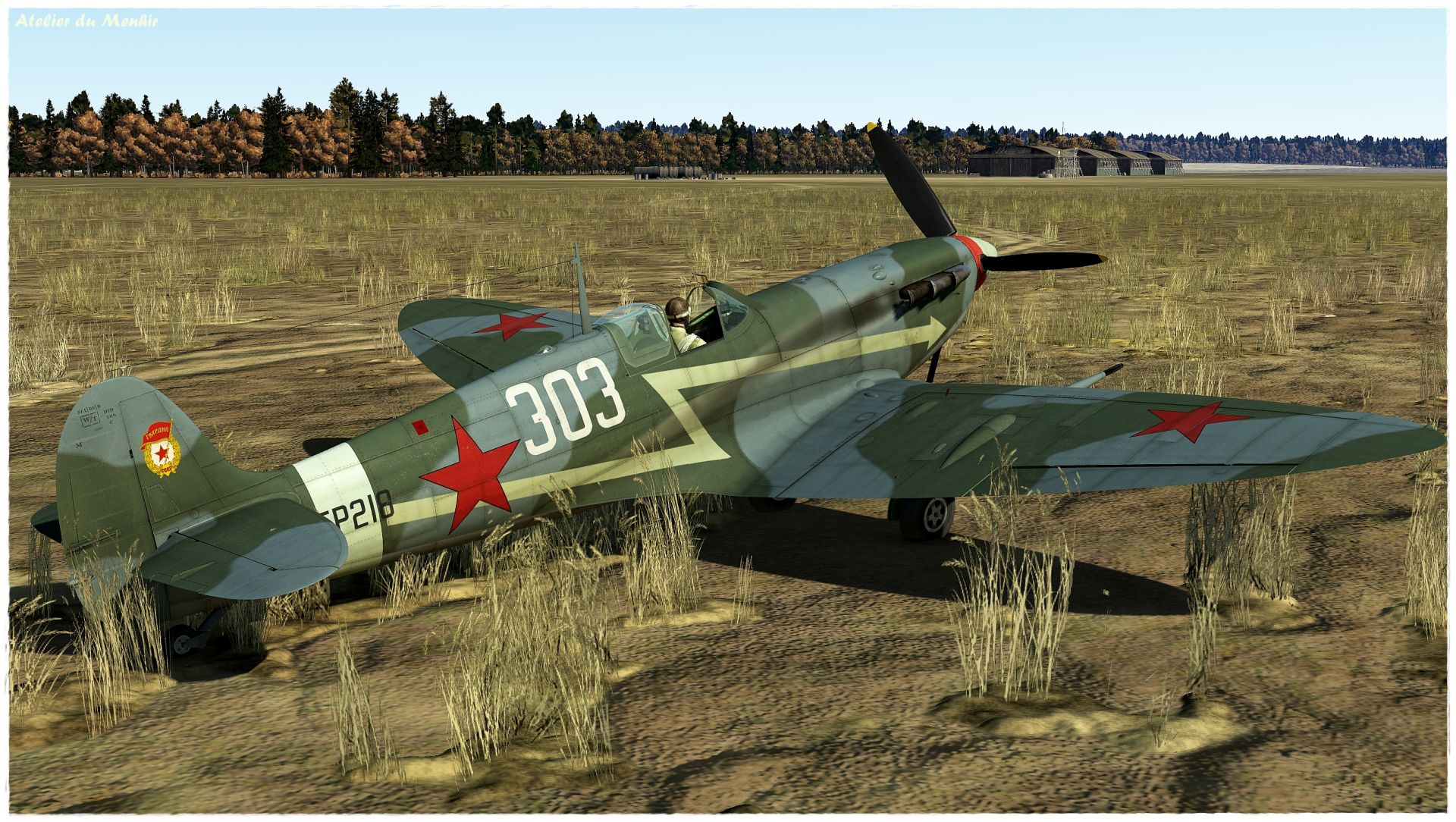 Spitfire Mk Vb 596249f4a58f4