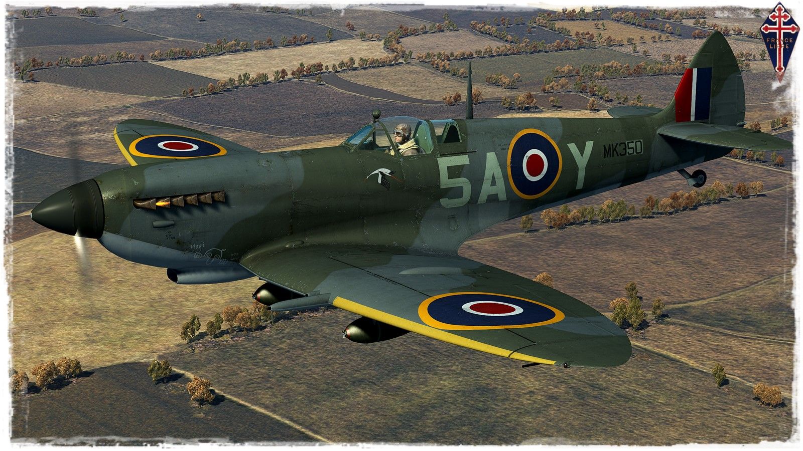 [skin] Spitfire Mk IXe - Pack CCG 5d409f5e81b9c
