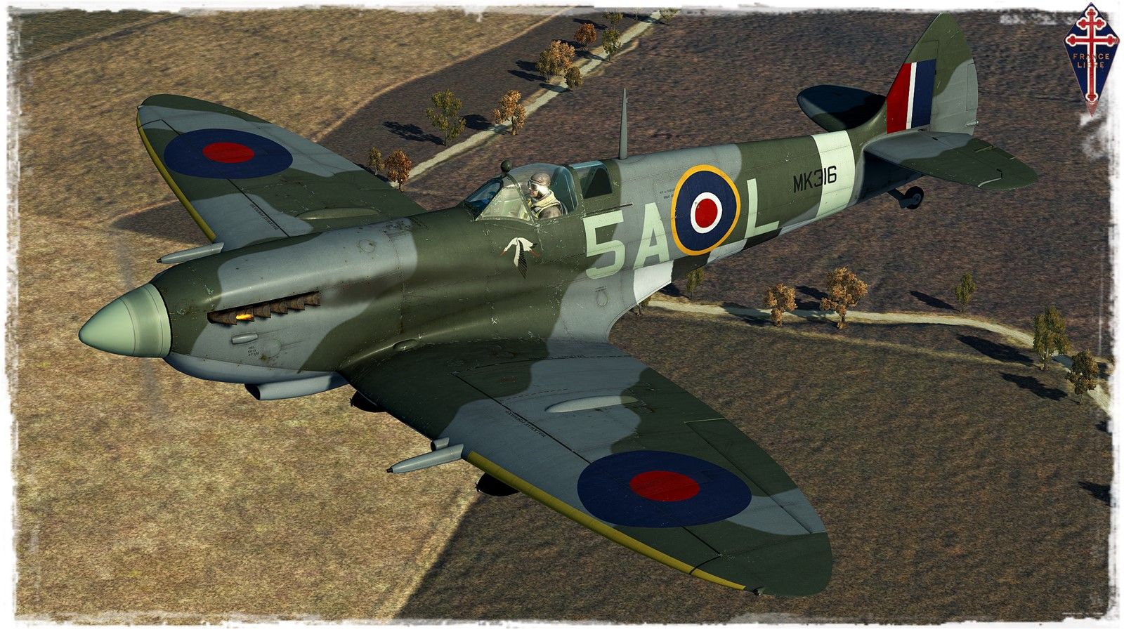 [skin] Spitfire Mk IXe - Pack CCG 5d40a01a6c784