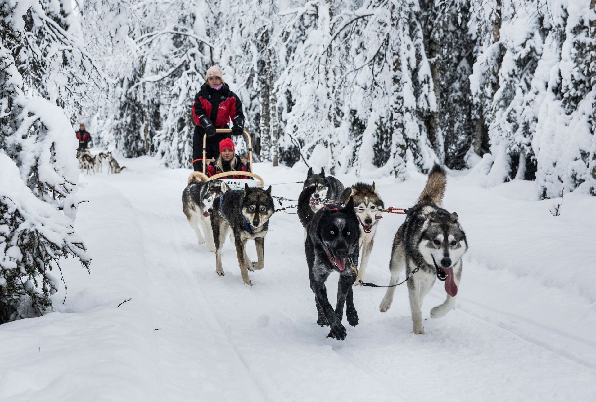 Vacanță în Laponia lui Moș Crăciun: poveste de iarnă în familie!