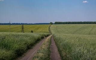 Chemins