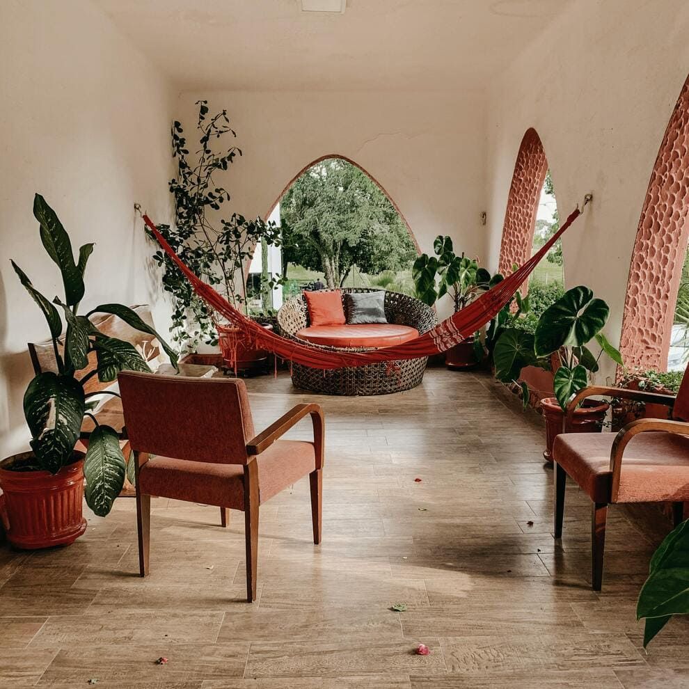 Des plantes vertes avec des chaises en bois dans un jardin