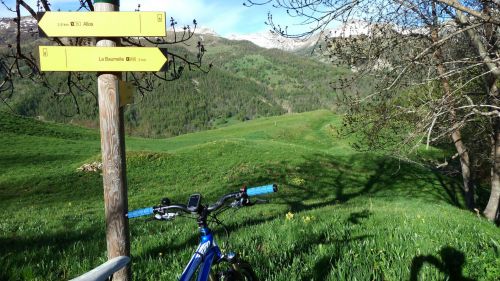 montgros
