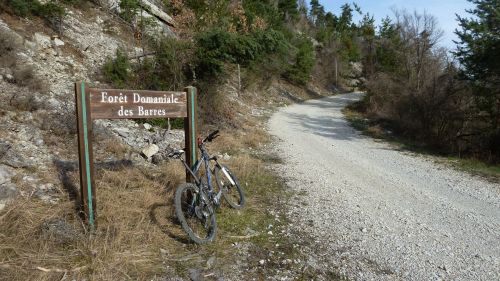 foret domaniale des barres