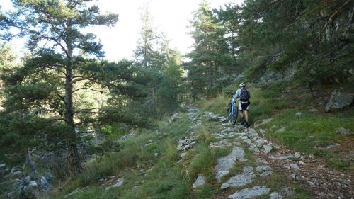 cabane du mont