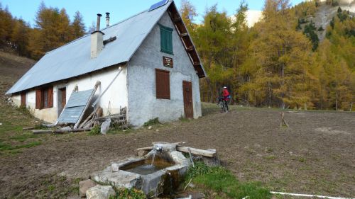 cabane de prénier