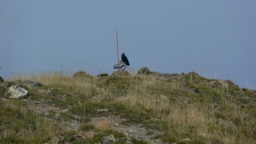 tÃªte de sestriÃ¨re