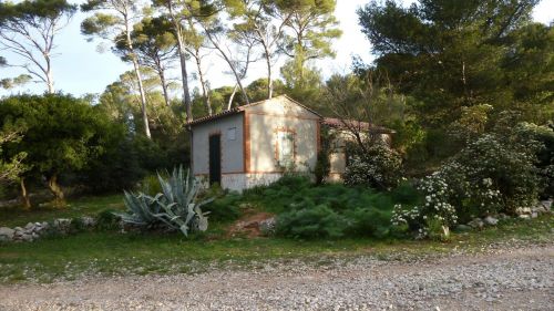 coli du Faron