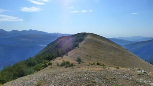 arÃªte de cordoeil