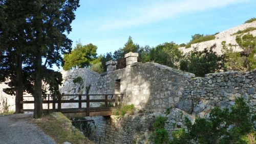 pointe du cerveau