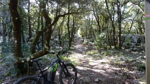 plateau de siou blanc