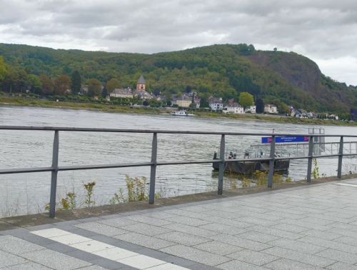 rhine