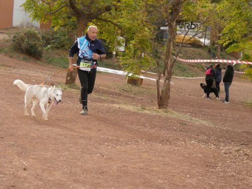 Couverture de l’album