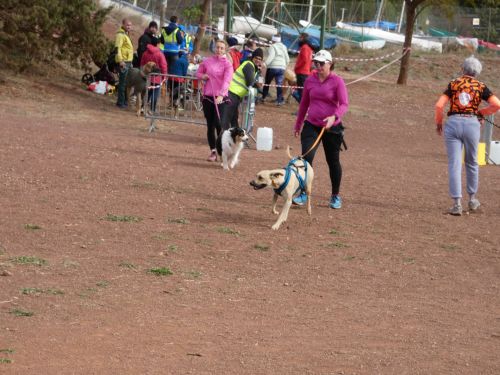 Couverture de l’album