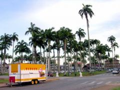 Cayenne, Place des palmistes - Guyane