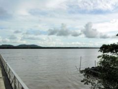 Rivière de Cayenne - Guyane
