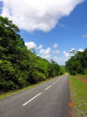 La route dans la forêt équatoriale - De Roura à Kaw - Guyane
