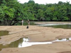 Un banc de sable - Balade sur la Comté - Guyane