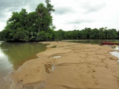 Un banc de sable - Balade sur la Comté - Guyane