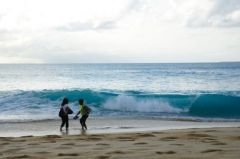 La vague, Baie aux prunes - Saint-Martin