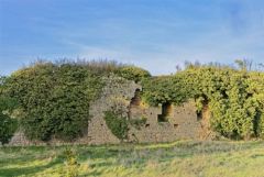 Château de Mortagne-sur-Sèvre - les remparts - Vendée