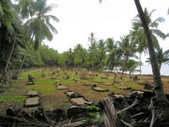 L'Île Saint Joseph - Le cimetière des surveillants<br>Kourou - Guyane