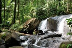 Les cascades de Fourgassier - De Roura à Kaw - Guyane