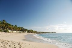 Baie aux prunes - Saint-Martin