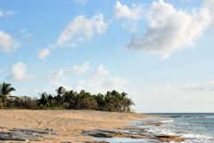 Baie aux prunes - Saint-Martin