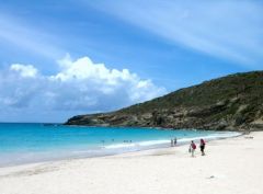 Plage des Salines - Saint-Barthélemy